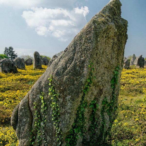 La magie des menhirs révélée